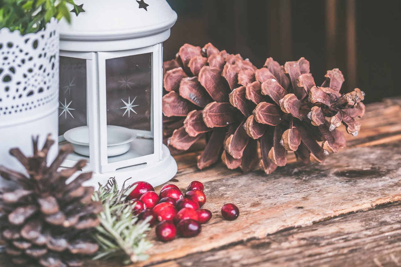 pine cones and berries